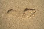 footprint, sand, tracks in the sand, footprints in the sand, footprint, footprint, footprint, footprint, footprint, footprints in the sand