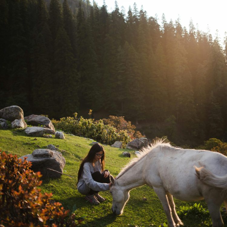 A woman enjoys a peaceful moment with a white horse in a lush mountain grassland at sunset.